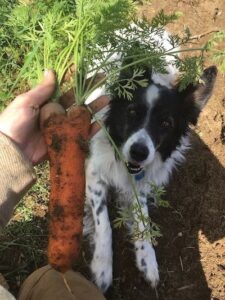 Climate Change: A Symptom of a Deepening, Spiritual Wound Image